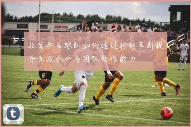 北京乒乓球队如何通过控制革新提升竞技水平与团队协作能力