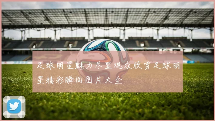足球明星魅力尽显观众欣赏足球明星精彩瞬间图片大全