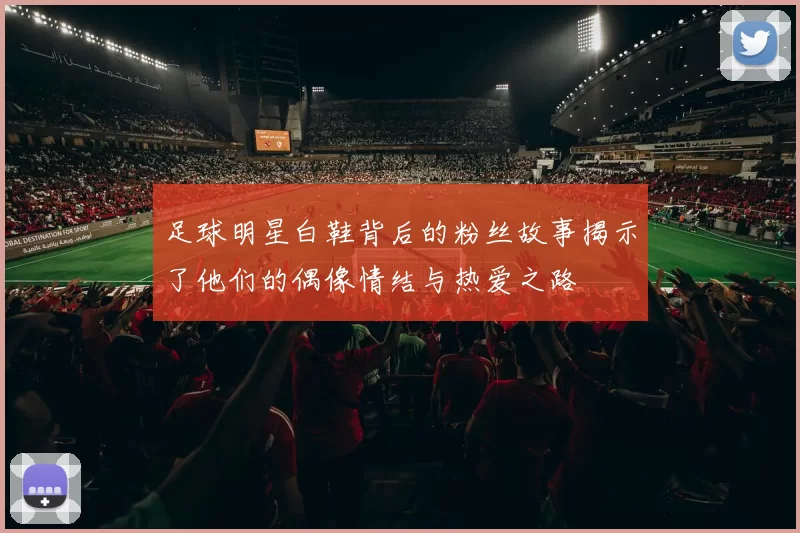 足球明星白鞋背后的粉丝故事揭示了他们的偶像情结与热爱之路