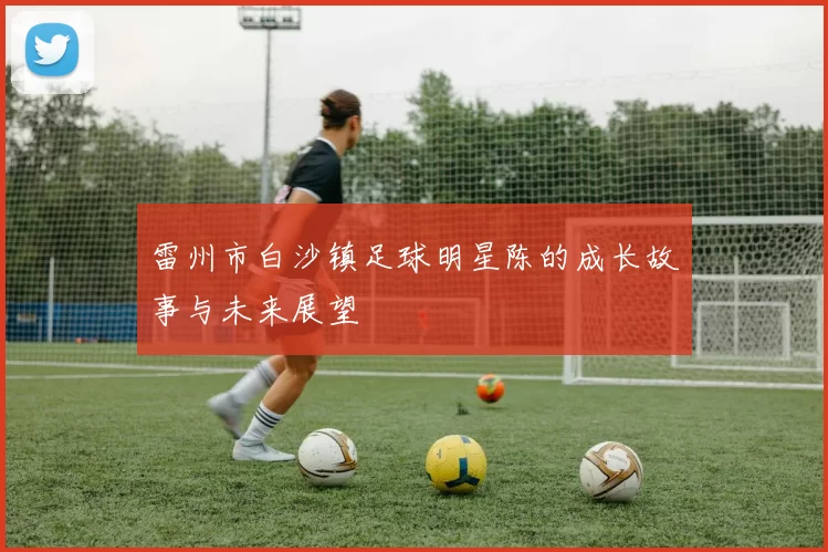 雷州市白沙镇足球明星陈的成长故事与未来展望