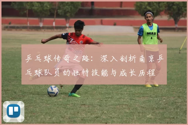 乒乓球传奇之路：深入剖析南京乒乓球队员的独特技能与成长历程