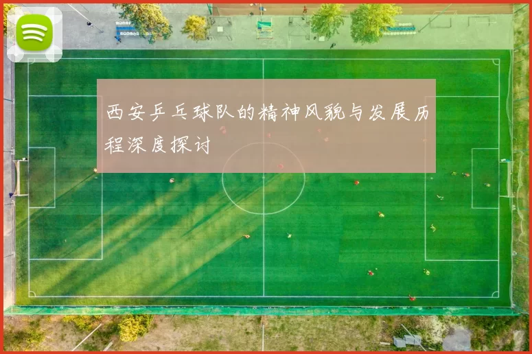 西安乒乓球队的精神风貌与发展历程深度探讨