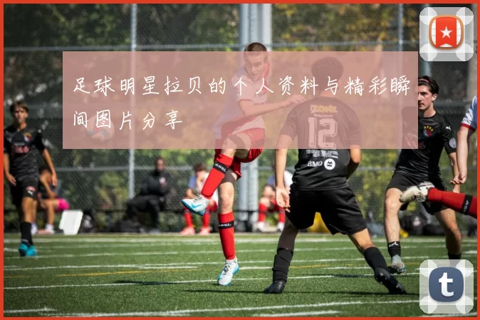 足球明星拉贝的个人资料与精彩瞬间图片分享