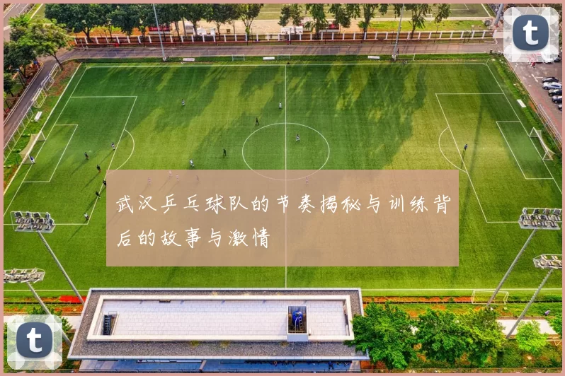 武汉乒乓球队的节奏揭秘与训练背后的故事与激情
