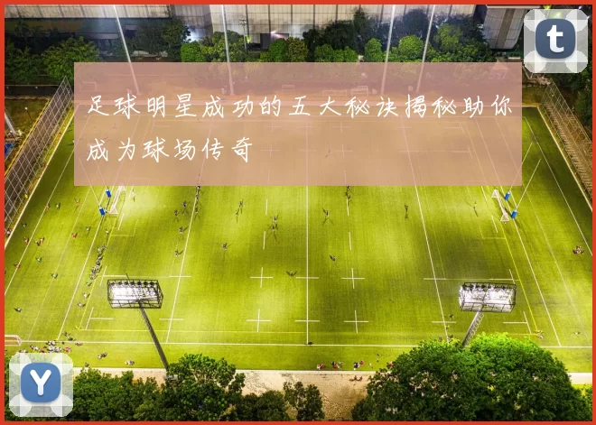 足球明星成功的五大秘诀揭秘助你成为球场传奇