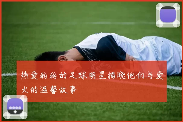 热爱狗狗的足球明星揭晓他们与爱犬的温馨故事