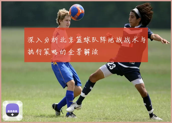 深入分析北京篮球队阵地战战术与执行策略的全景解读