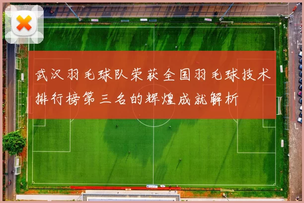 武汉羽毛球队荣获全国羽毛球技术排行榜第三名的辉煌成就解析