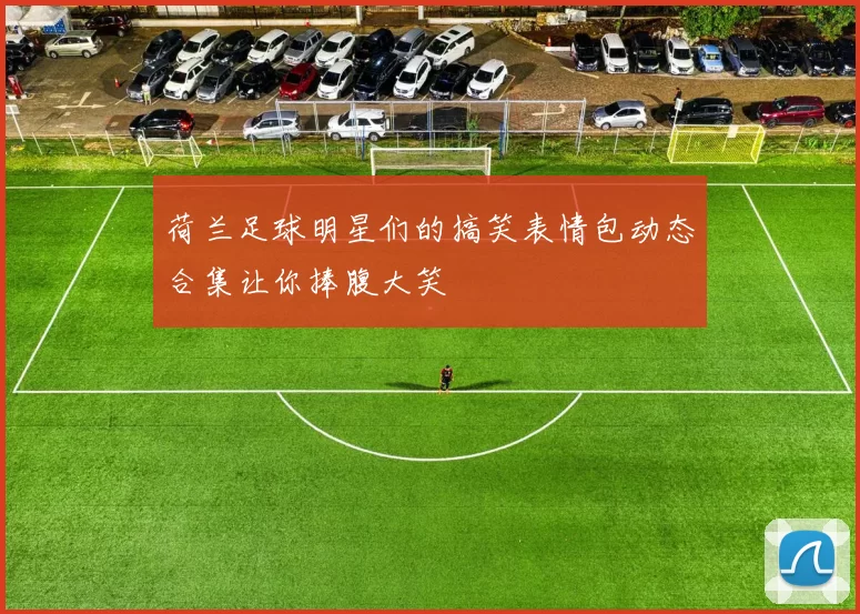 荷兰足球明星们的搞笑表情包动态合集让你捧腹大笑