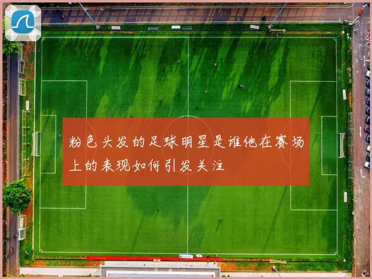 粉色头发的足球明星是谁他在赛场上的表现如何引发关注