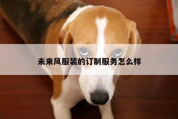 JN江南：未来风服装的订制服务怎么样