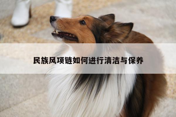 民族风项链如何进行清洁与保养_JN江南·体育